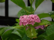 マツダの燃費云々と嘆いていたのも今は昔?