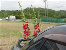  上総・天津小湊をめぐる房総紀行　その４　日本の原風景