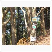 知られざる国道(酷道)の旅( ...