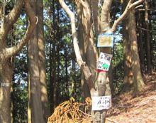 知られざる国道(酷道)の旅(2)