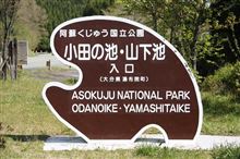 明日　日曜日には「あさなみ」小田の池レストハウスに行きます。
