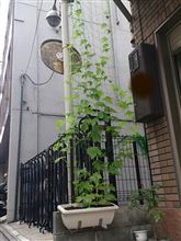 かわいそうなんですが…