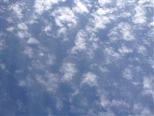おはようございますm(_ _)あい おはようございますm(_ _)あい