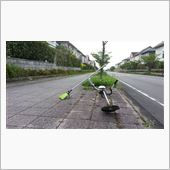 今朝は歩道の草刈り