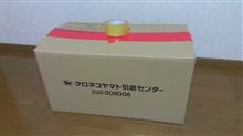 6月から新生活はじめました