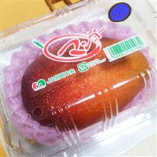 う～マンボ♪