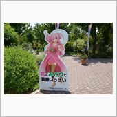 スイーツ部＆温泉部的な・・・