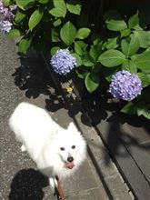 CX帰ってきました。
