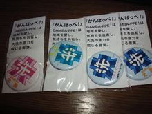 大洗女子校章缶バッジ