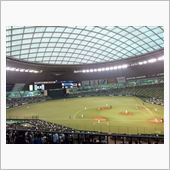 野球観戦（埼玉西武VS東北楽 ...