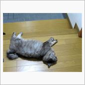転職しました。