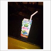 新種発見(笑)
