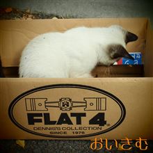 荷物届いたので。。。(￣▽￣;)