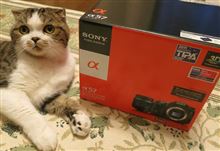 デジタル一眼、買い足し♪ デジタル一眼、買い足し♪