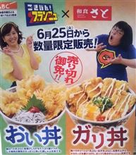 昼からガッツリでした(￣▽￣;)