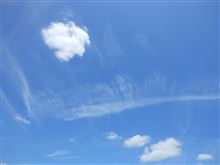 穏やかな一日