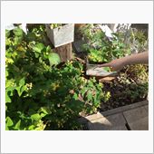 ぶらぶら日記〜眼鏡完成