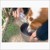 スッキリ。