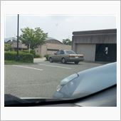 ゴールドはめずらしい？