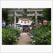 紫陽花「磯山神社」
