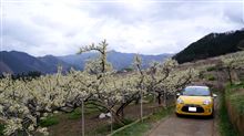 DS3 桃源郷ﾄﾞﾗｲﾌﾞto 甲州（慈雲寺周辺）