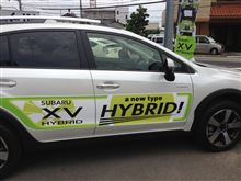 ＸＶ ＨＹＢＲＩＤ