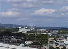 明日(日曜日)はミラフィオーリに行きます。・・・カルガモ楽しみです。(^.^)