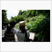 梅雨明け間近の六甲山へ