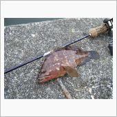 釣りのちサーキットのち釣り！
