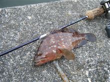 釣りのちサーキットのち釣り！
