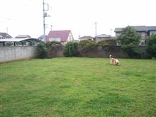 涼しいうちに、遊ぼう。