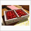 桜桃! ☆ Thanks!
