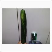 羨ましい位、立派!!(」゜□ ...