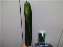 羨ましい位、立派!!(」゜□゜)」 