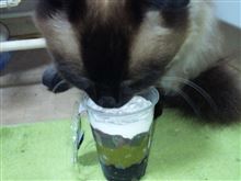 誕生日です