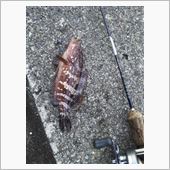 夕食前に釣り！