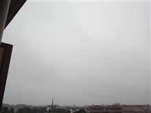 ７月４日　雨上がりな木曜日、おはよ～♪