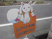 飛び太君？(;&#180;д｀)