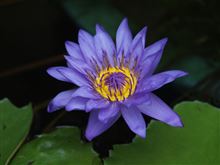 久々に行ってみようか。