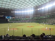 野球観戦（埼玉西武VS千葉ロッテ）