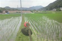 梅雨､真っ只中の金曜日♪