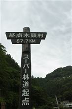 しがみつく　紫陽花力の　S林道