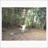 淡路島冒険の森
