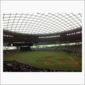 野球観戦（埼玉西武VS千葉ロ ...