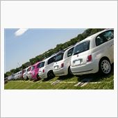 FIAT BIRTHDAY  ...