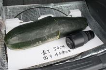仲間が増えたぞ～(^o^)…。 
