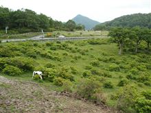 山の上の涼しい風を求めて 山の上の涼しい風を求めて