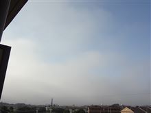７月９日　また晴れて暑くなりそうな火曜日、おはよ～♪