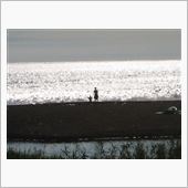 眩しい夏がくる