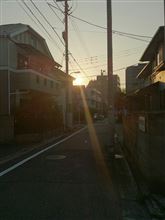 4日連続の猛暑でっか・・・・ミ(ノ;_ _)ノ =3 ドテッ